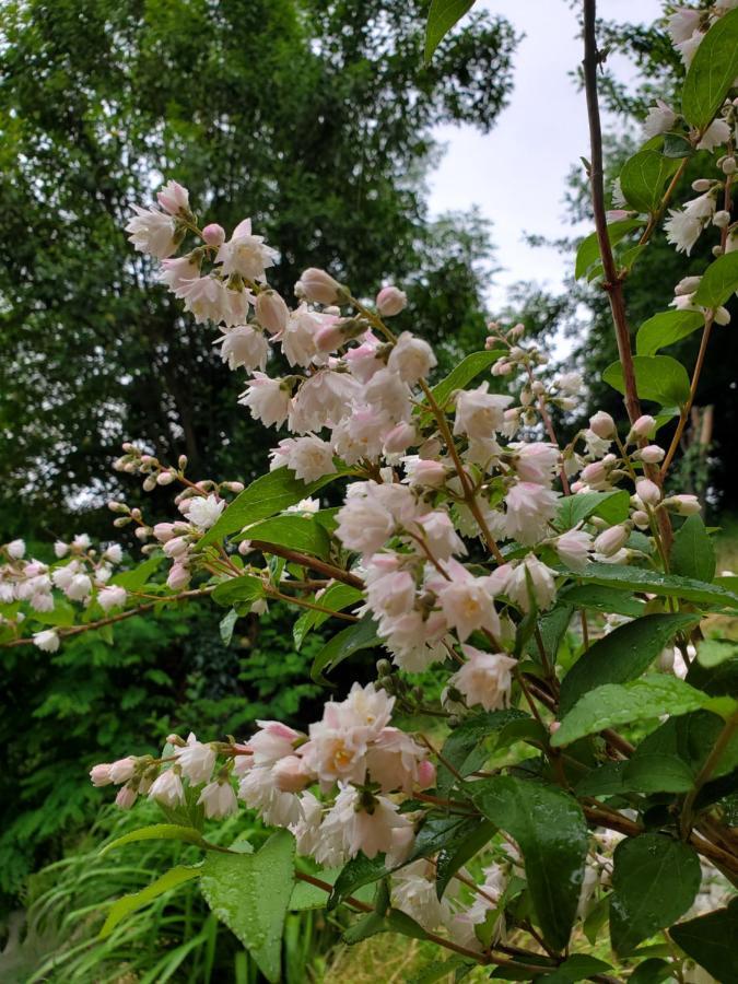 شقة Beehives كوتايسي المظهر الخارجي الصورة